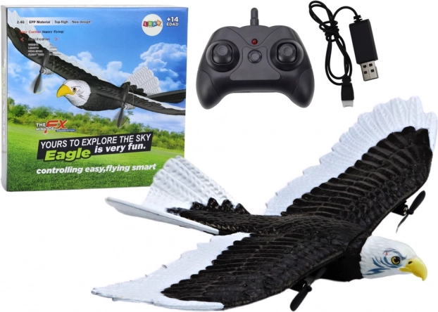 Eagle Bird fjernstyret RC-fly 2.4G 41 cm x 28 cm x 5 cm