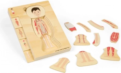 Lag-på-lag træpuslespil anatomi – dreng BIGJIGS TOYS