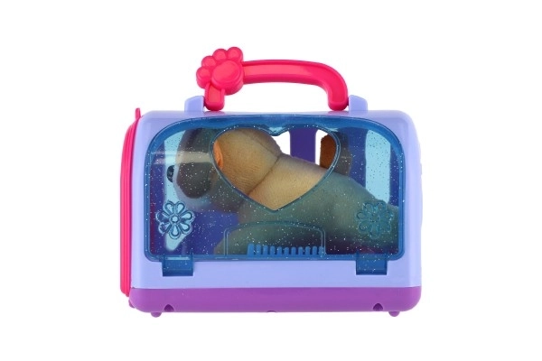 Transportkasse med plyshund