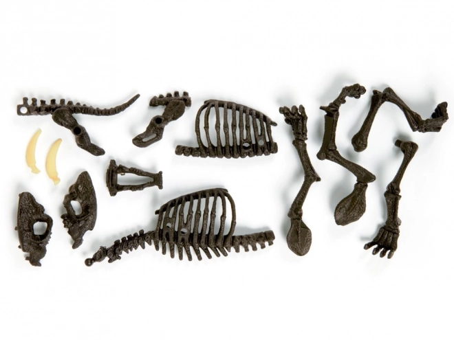 Clementoni Smilodon - Saml-selv skelet af sabeltiger