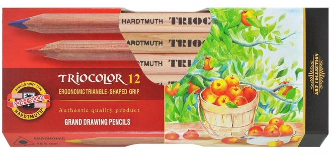 KOH-I-NOOR Trekantede farveblyanter Triocolor 3152 - 12 stk.