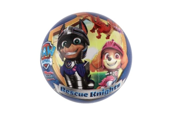 Blåt Paw Patrol bold