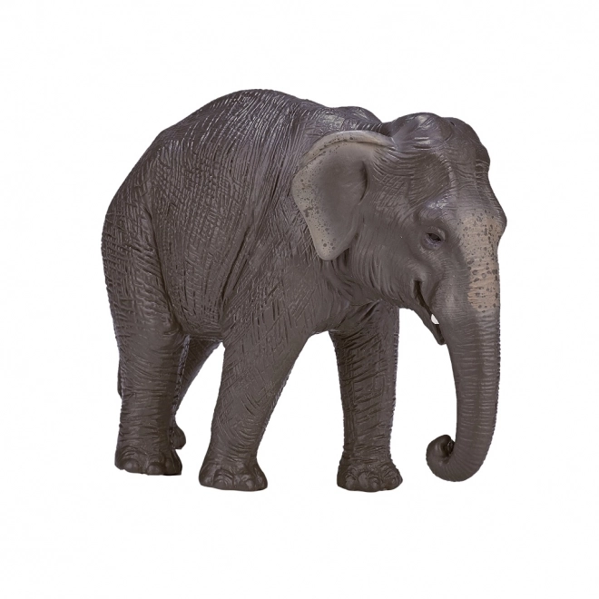 Mojo Indisk Elefant