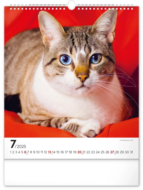 Vægkalender Katte 2025, 30 × 34 cm