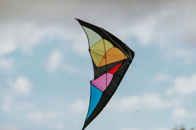 Flyvende sportskite Dragon 120 x 50 cm