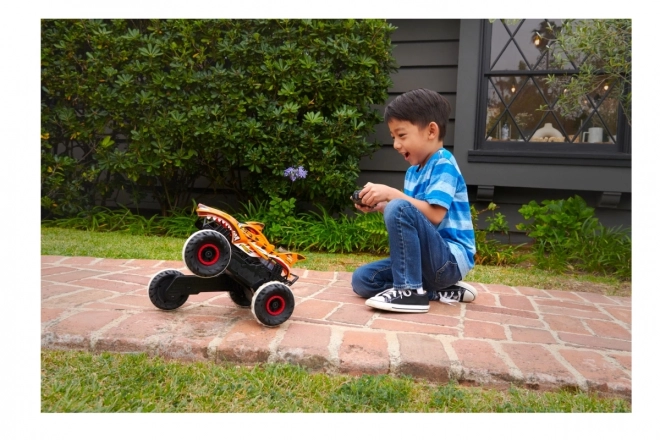 Hot Wheels RC Monster Truck Tigerhaj