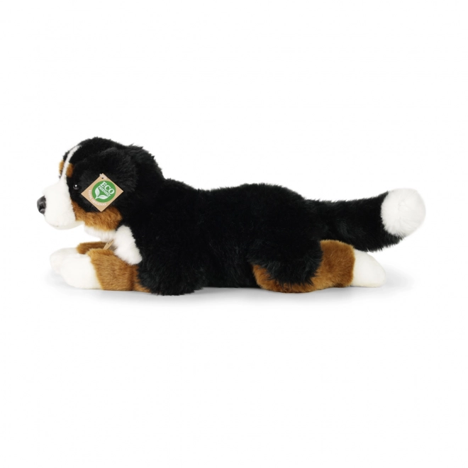 Plys bernersennenhund liggende 44 cm ECO-FRIENDLY