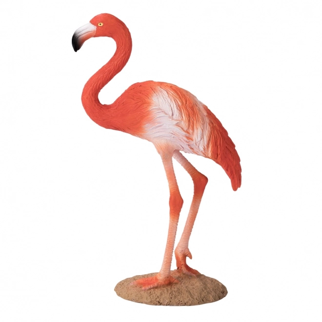 Mojo Amerikansk flamingo