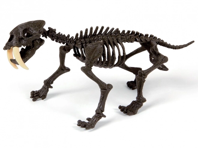 Clementoni Smilodon - Saml-selv skelet af sabeltiger
