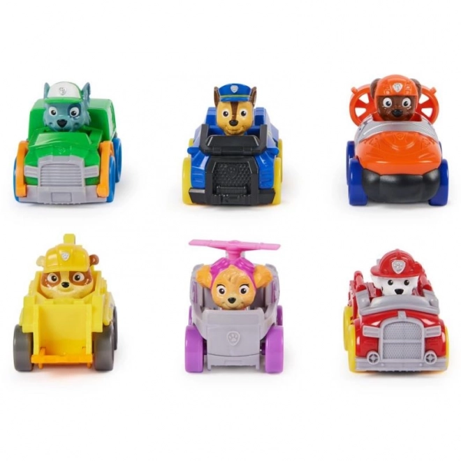 Paw Patrol multiboks med mini biler