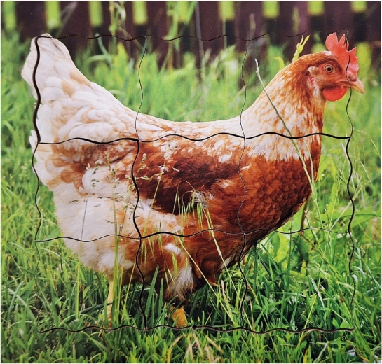 Høj kvalitet og autenticitet