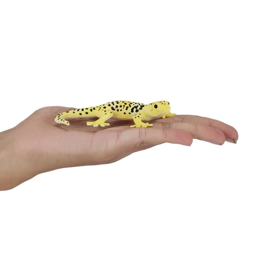 Mojo Leopardgekko