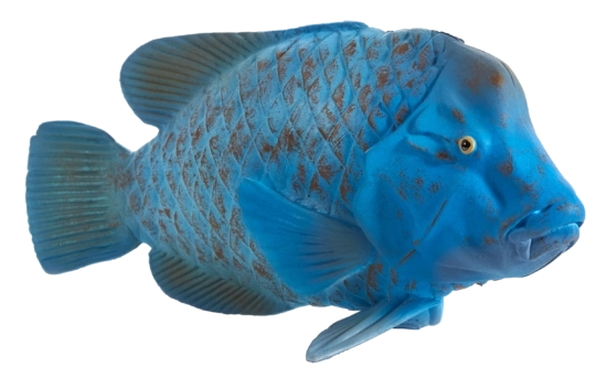 Mojo-figur af grønlæbet læbefisk – realistisk dyrelegetøj