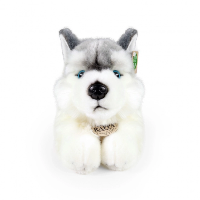 Rappa Plysbamse hund husky liggende 30 cm