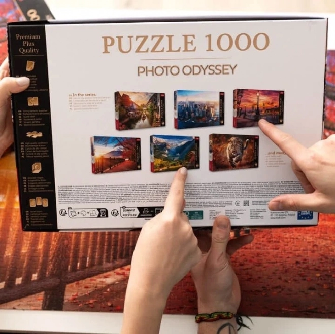 TREFL Puslespil Premium Plus Foto Odyssey: Fyrtårn Ø på øen Sild 1000 brikker