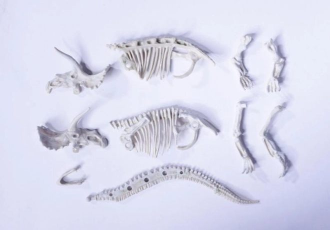 Sæt til udgravning og samling af dinosaurknogler