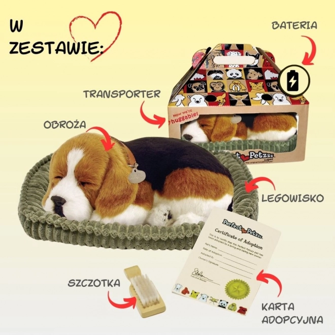 Åndende Beagle Hvalp Perfect Petzzz