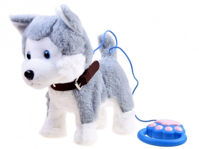 Interaktiv Huskyhund på snor