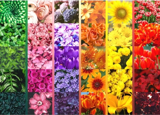 Vibrant blomsterpalette i gitter