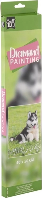 GRAFIX Diamantmaleri Husky 40x50 cm