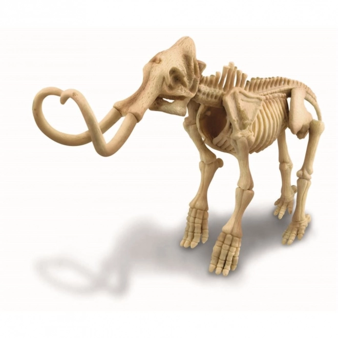 Udforskninger - Mammut