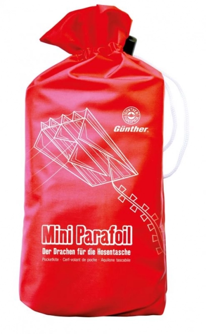 Flyvende drage 3D Mini Parafoil 60 x 51 cm