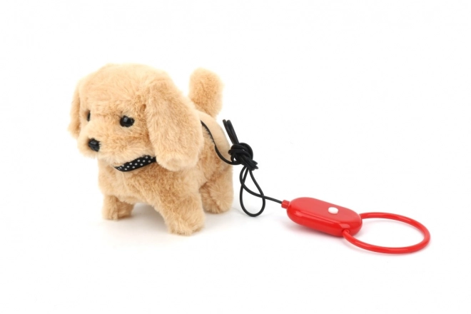 Hund på snor med lyde