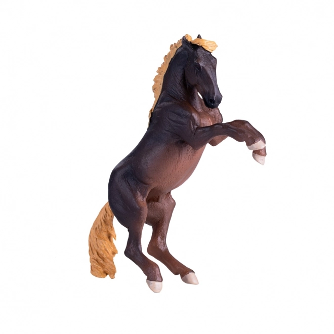 Mojo Hingst Brumby