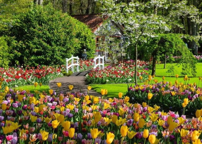 Puslespil 1000 brikker RAVENSBURGER – Smukke Keukenhof-haver, Holland