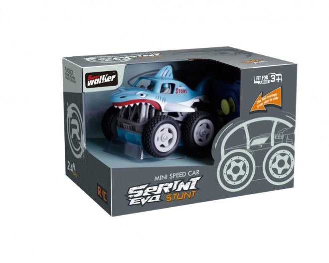 Mini auto haj RC
