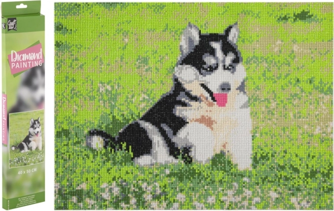 GRAFIX Diamantmaleri Husky 40x50 cm