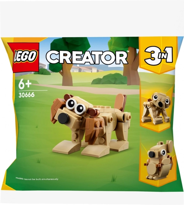 Glædeligt design og kreativitet