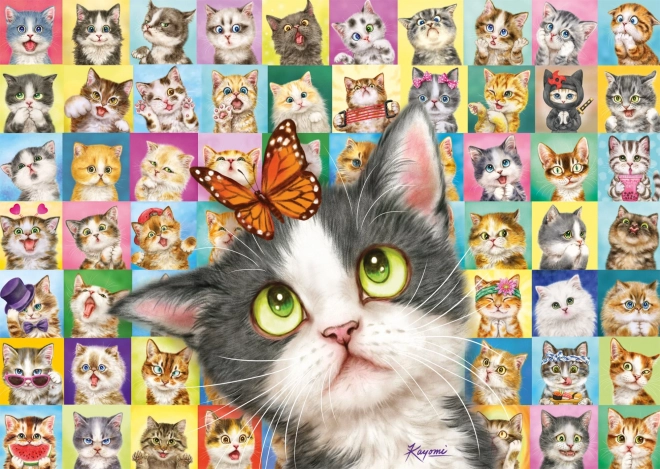 Puzzle SCHMIDT – katteudtryk, 1000 brikker