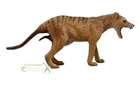 COLLECTA Thylacine (tasmansk tiger) - hun
