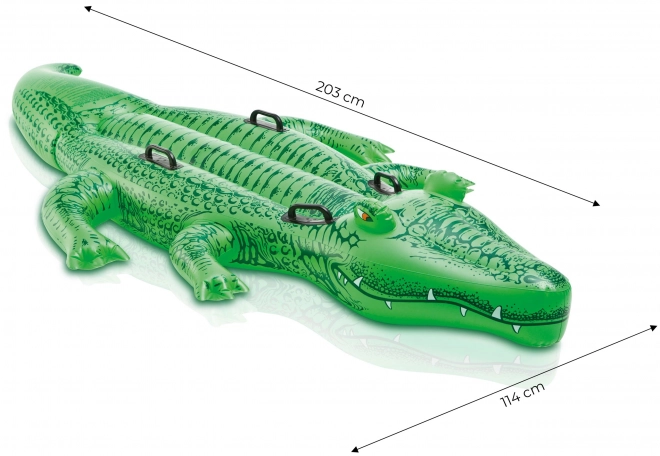 Vandkf8retf8j Alligator
