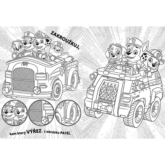 Malerier Paw Patrol Tæpper - Vi kører