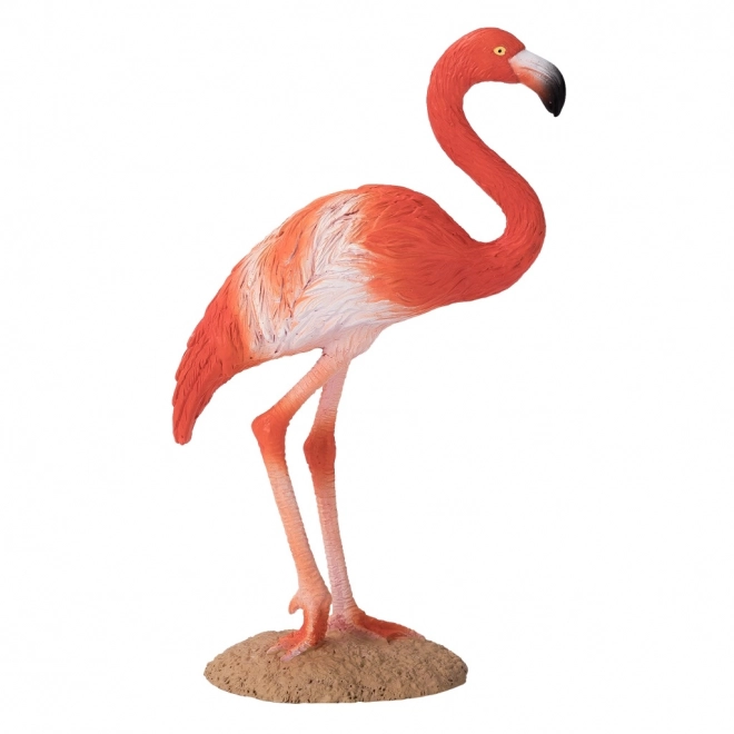 Mojo Amerikansk flamingo