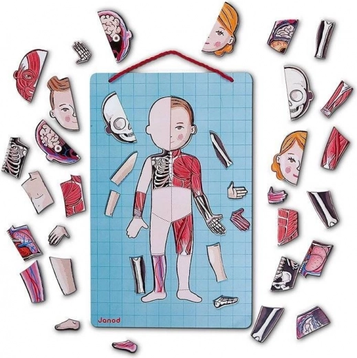 Magnetisk tavle til ophæng