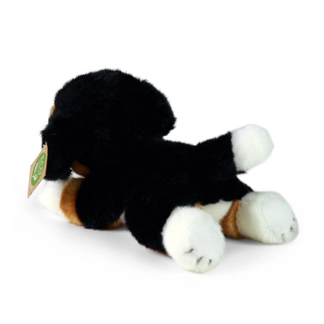 Plys Bernersennenhund liggende 20 cm MILJØVENLIG
