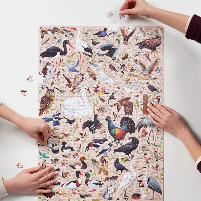 Puslespil Puzzlove Fugle 1000 brikker
