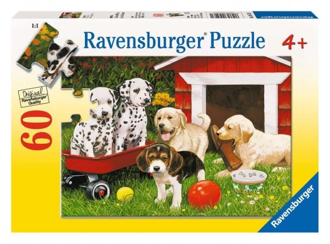 Ravensburger puslespil Hvalpefest 60 brikker