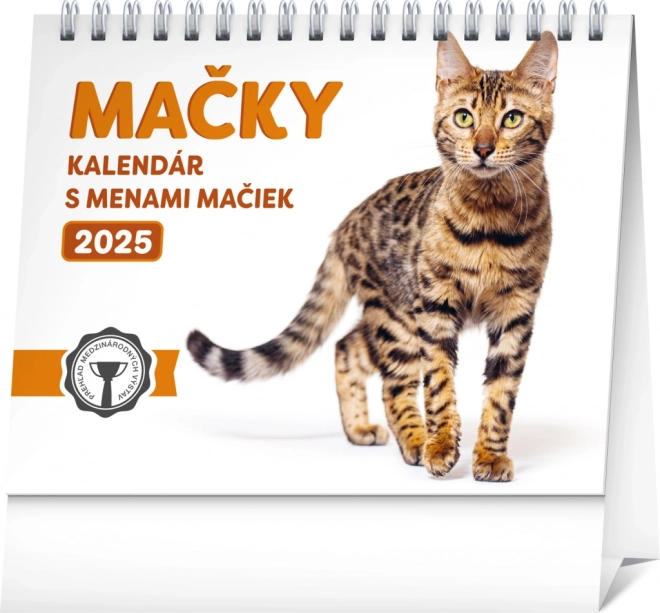 NOTIQUE Bordkalender Katte – med kattenavne 2025, 16,5 x 13 cm