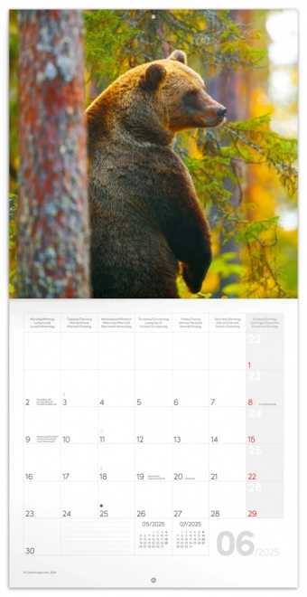 NOTIQUE Notatkalender Skovens dyr 2025, 30 x 30 cm