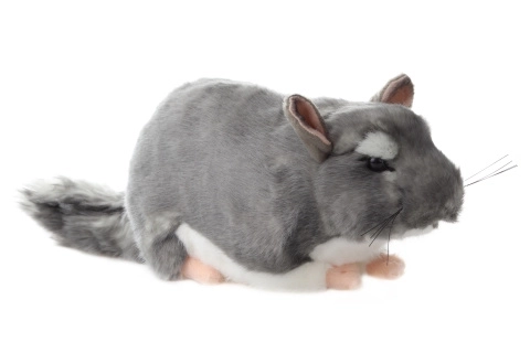 Plys chinchilla 22 cm