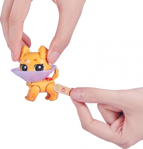 Saml mangfoldige hvalpe