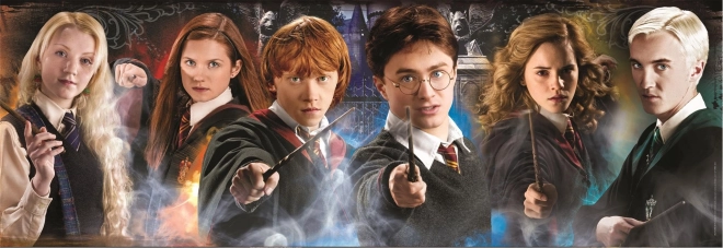 Puslespil 1000 brikker Panorama Harry Potter: Elever