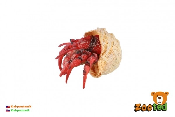 Eremitkrebs zooted plast 7cm i pose