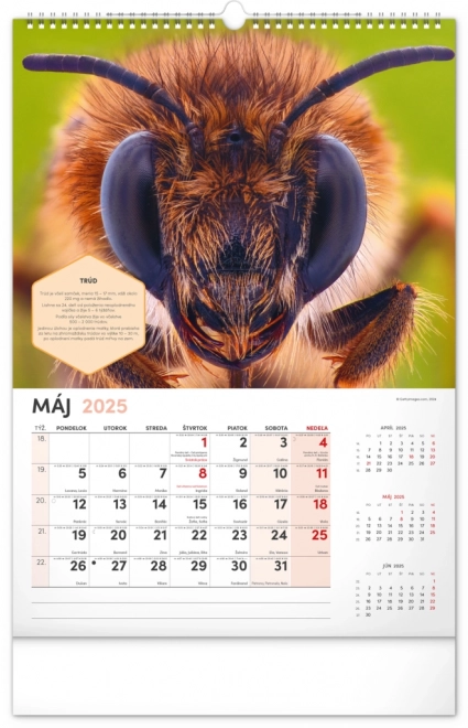 NOTIQUE Vægkalender for Biavl 2025, 33 x 46 cm