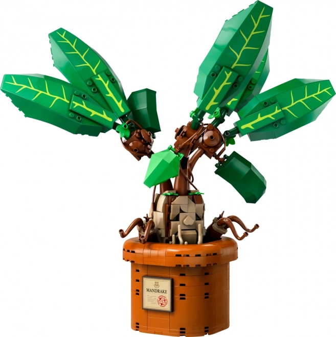 Skab mandrake