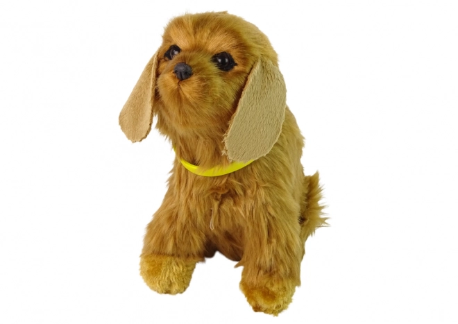 Interaktiv plysbamse Cocker Spaniel